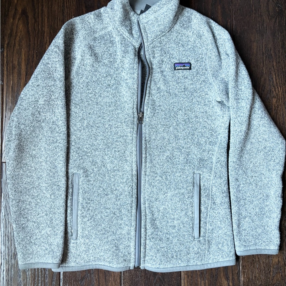 Patagonia Light Gray Kids Fleece Jacket
